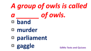 Read more about the article Vocabulary test – 3 Collective nouns, can you ace this test?